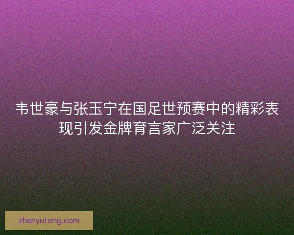 韦世豪与张玉宁在国足世预赛中的精彩表现引发金牌育言家广泛关注
