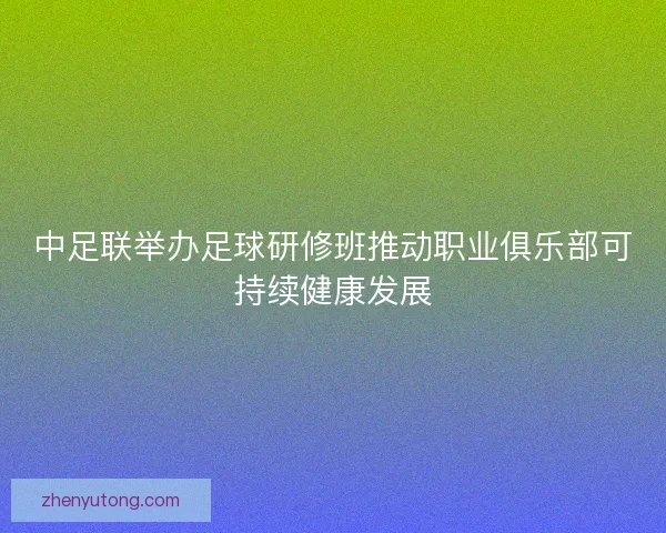 中足联举办足球研修班推动职业俱乐部可持续健康发展